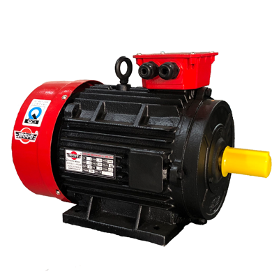 Electric Motor