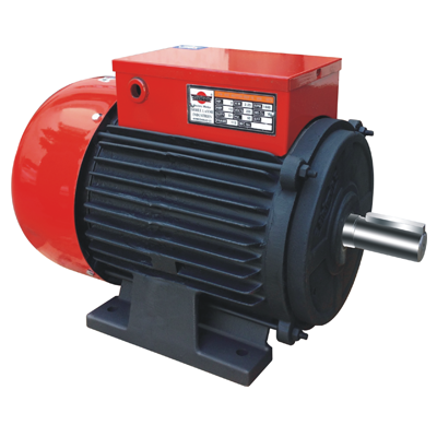 Electric Motor
